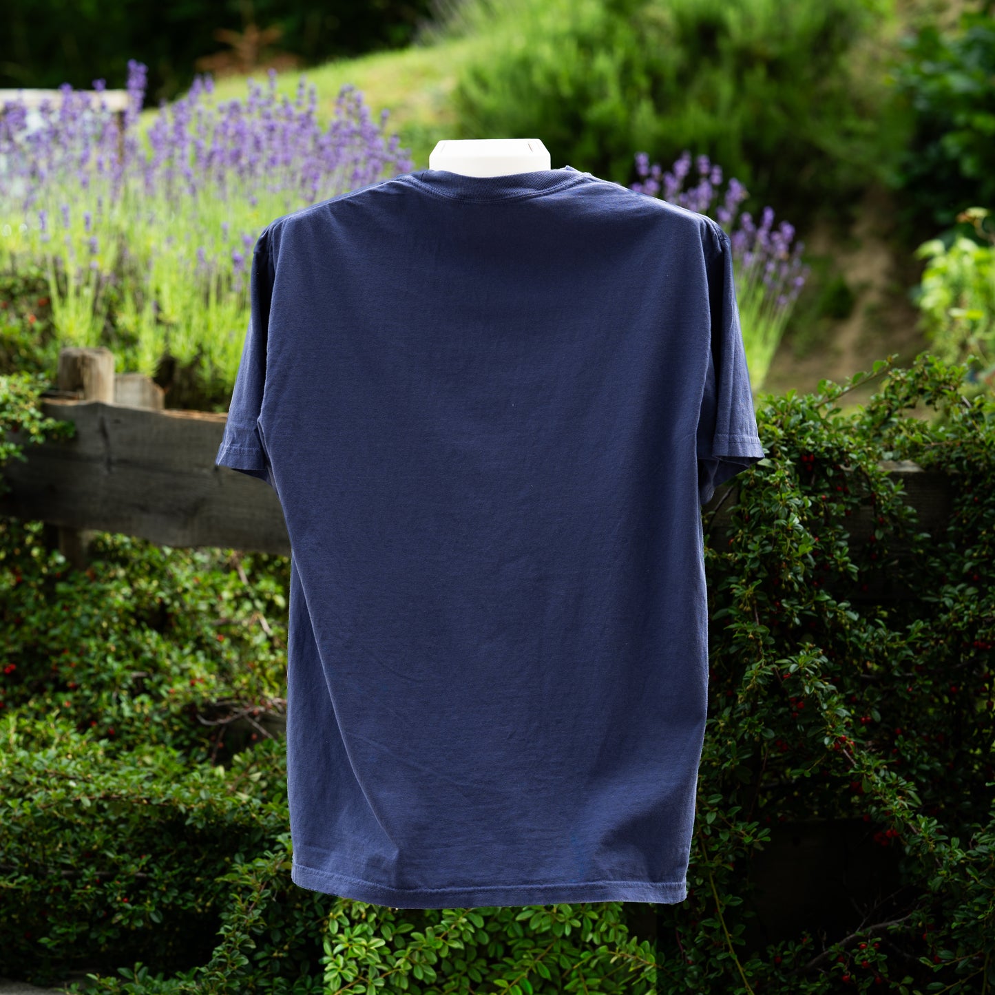 The Camera Preview Lied Shirt | Funny Photography Tee