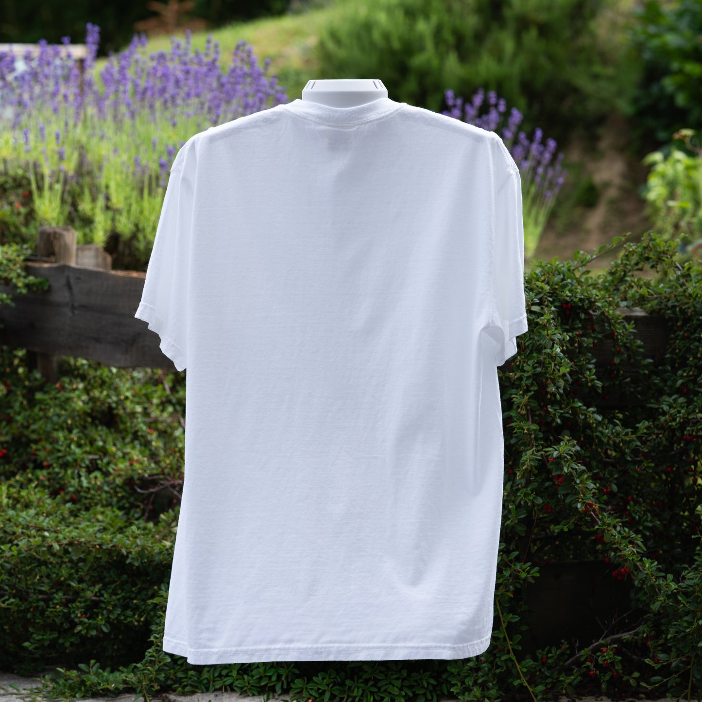 Say Cheese Otter T-Shirt | Cute Photography Graphic Tee